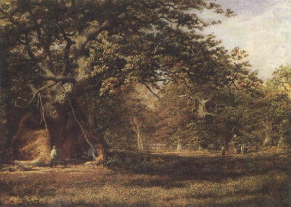 Alfred wilson cox The Woodmans'Bower,Birkland,Sherwood Forest (mk37) china oil painting image